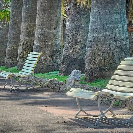 Le Palm - 100m - Croisette - Verriere Cote D'azur *