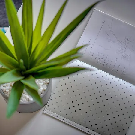 Le Palm - 100m - Croisette - Verriere Cote D'azur Apartmán