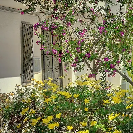 Apartmán Le Palm - 100m - Croisette - Verriere Cote D'azur *