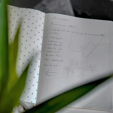 Le Palm - 100m - Croisette - Verriere Cote D'azur Apartmán *