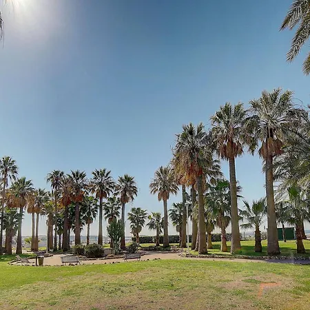Le Palm - 100m - Croisette - Verriere Cote D'azur * Cannes